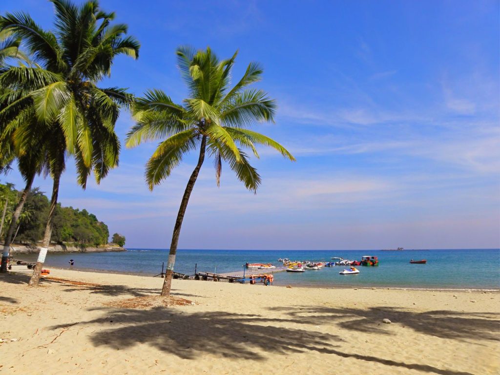 Ultimate Andaman & Nicobar Island Trip Planner Tropical beach scene with palm trees and clear Andaman sea in Sri Vijaya Puram, India.